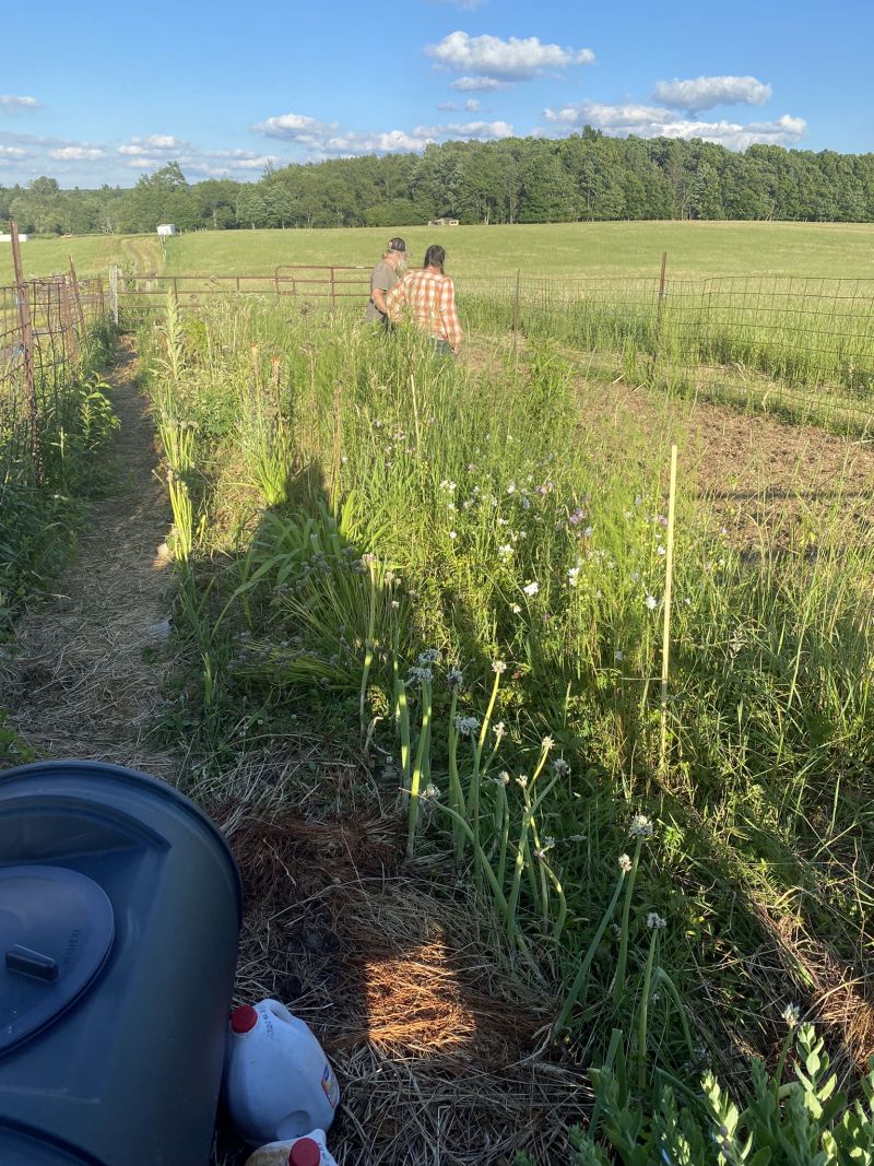 2022-06-27_MDMcHenry,HunyakFarm_farm-garden