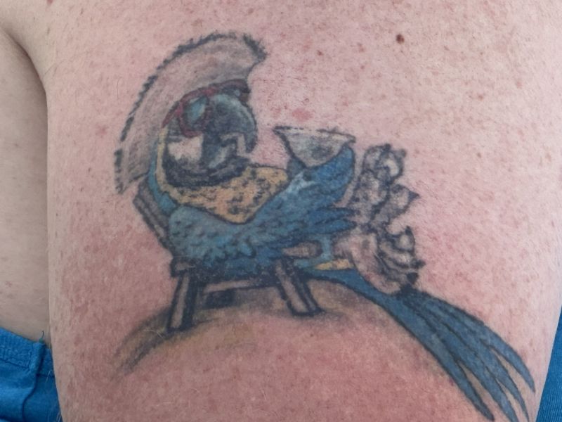tattoo(Parrot-sitting-in-lounge-chair)