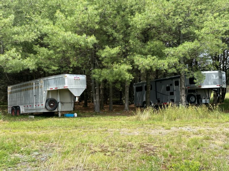 MDMcHenry_HorseTrailers-in-Trees