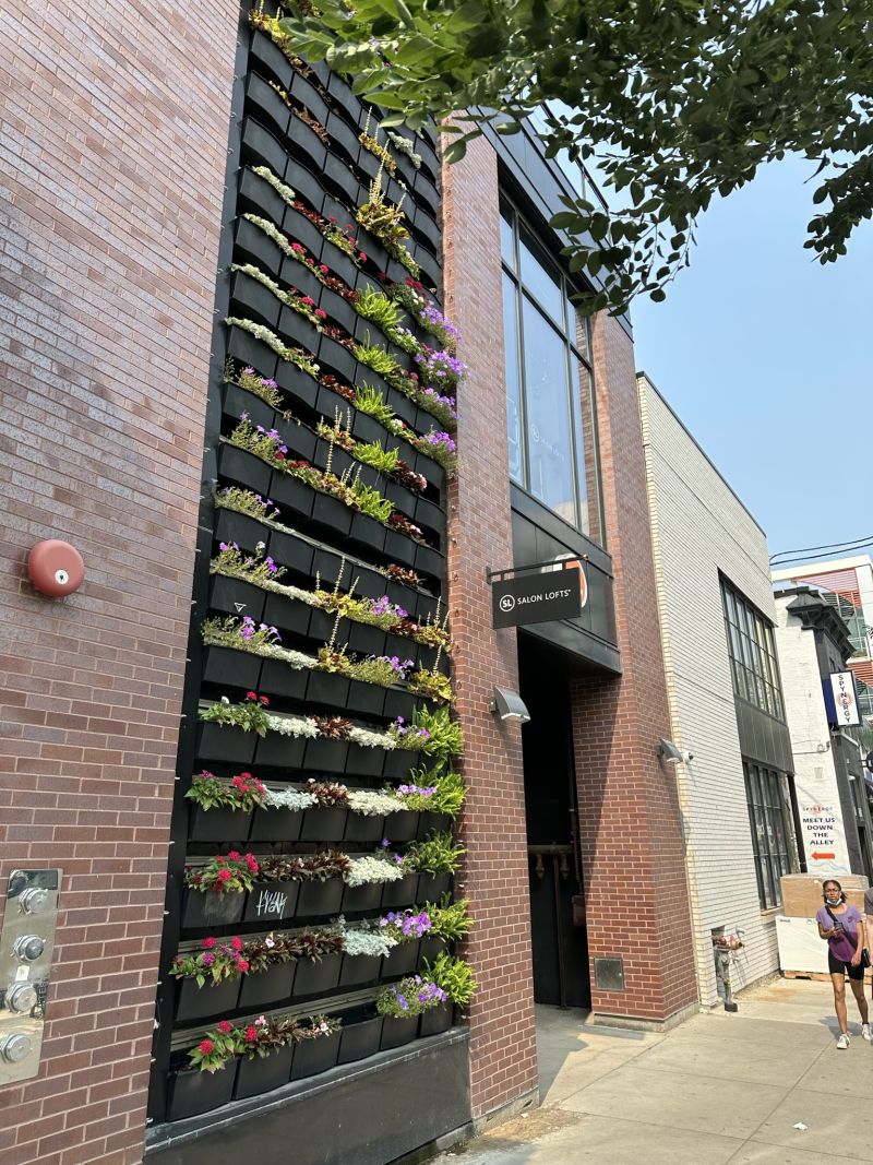 ILChi,WickerPark_wall-of-plants