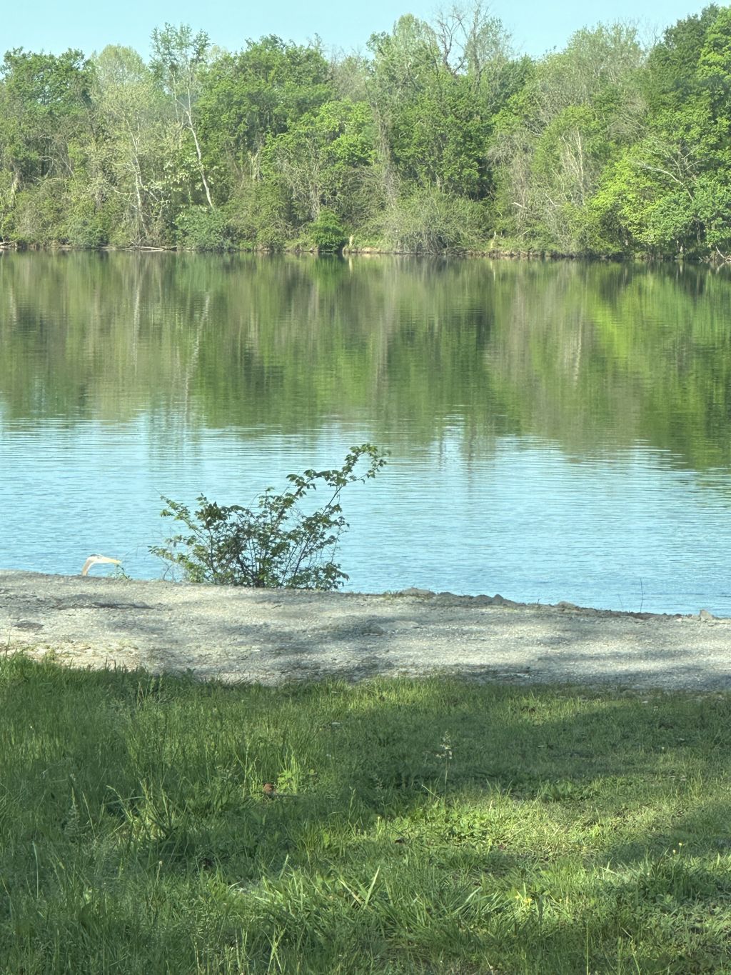 ALStevenson,_morning-glass-looking-river-top