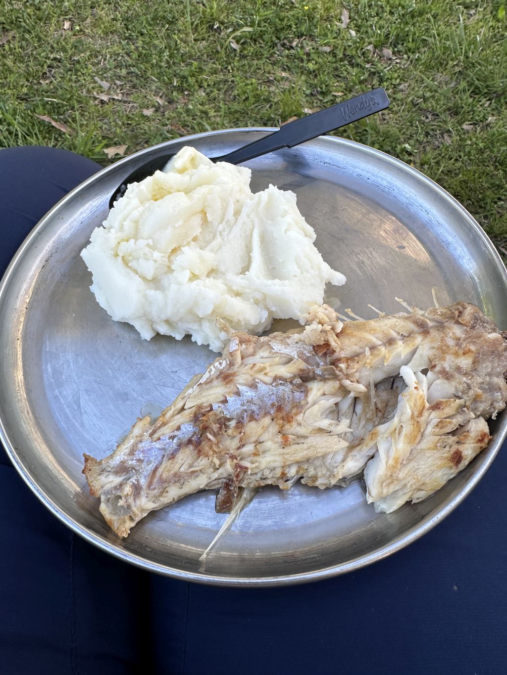 ALStevenson,_fish-and-mashed-potatoes