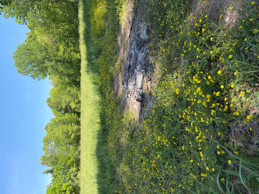 2026-04-06_ALStephenson_firepit-and-green-field